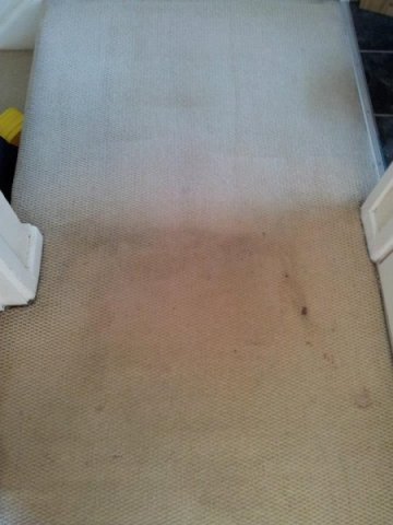 carpet cleaning Birmingham
