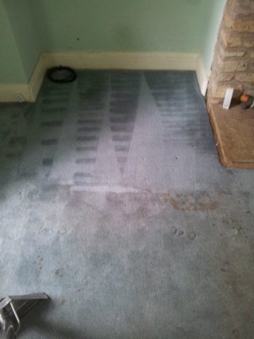carpet cleaning Leicester