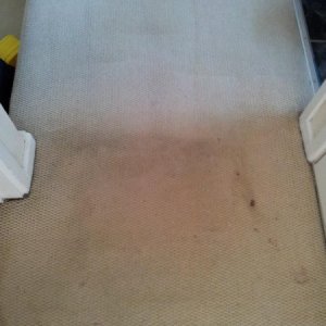 carpet cleaning Birmingham