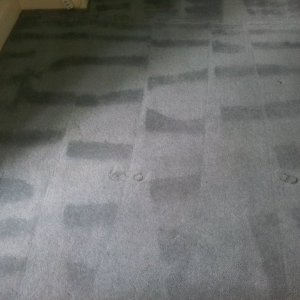 carpet cleaning Cambridge