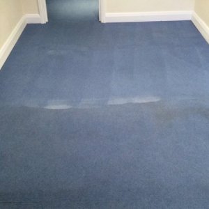 carpet cleaning Luton